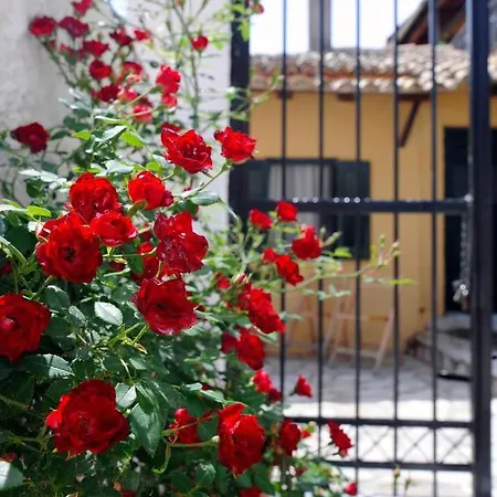 Traditional On The Hillside Of Antiperni Antipernoi